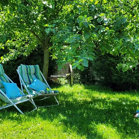 Nocleg ze śniadaniem Le Clos De La Ronziere 3*